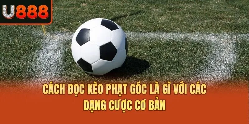 Cách đọc kèo phạt góc là gì với các dạng cược cơ bản