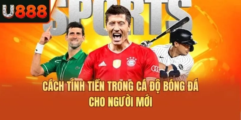 Cách tính tiền trong cá độ bóng đá cho người mới