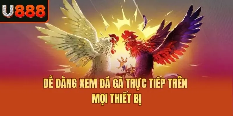 Dễ dàng xem đá gà trực tiếp trên mọi thiết bị