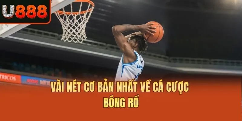 Vài nét cơ bản nhất về cá cược bóng rổ
